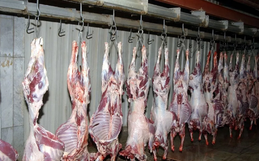 مسلخ مادبا لا يصلح للذبح