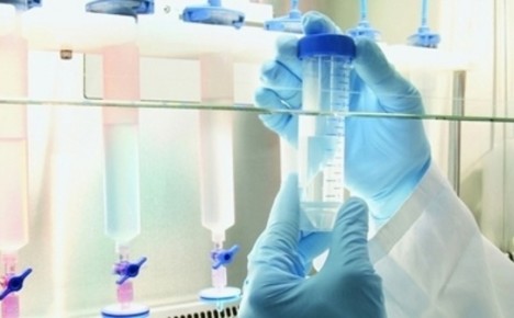 خبراء يخشون من انتشار فيروس كورونا خلال موسم الحج خبراء يخشون من انتشار فيروس كورونا خلال موسم الحج