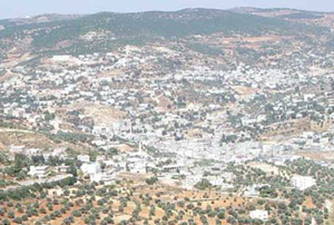 مسيرة صحية في عجلون  