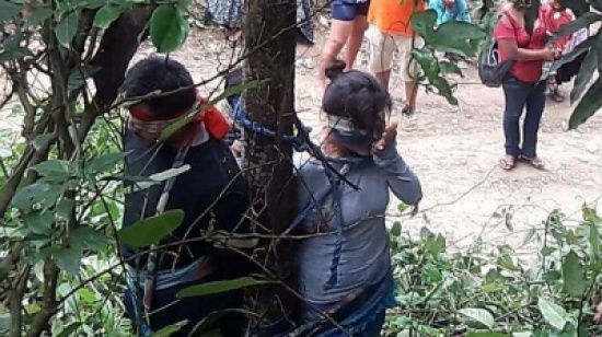 ماتت بعضات النمل السام.. عقاباً على سرقة لم ترتكبها