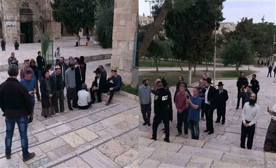 عشرات المستوطنين المتطرفين يقتحمون المسجد الأقصى عشرات المستوطنين المتطرفين يقتحمون المسجد الأقصى