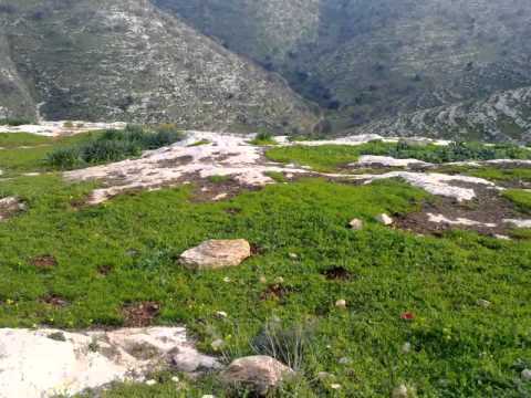 حوارية في ملكا لنبذ الفكر التكفيري حوارية في ملكا لنبذ الفكر التكفيري