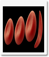 جمعية المنتدى الاردني للثقافة الصحية تحتفل باليوم العالمي للثلاسيميا