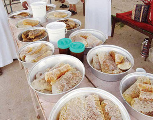 اتحاد النحالين يحذر من انتشار بيع العسل المغشوش في الاسواق المحلية