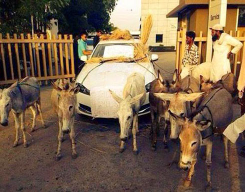 بالصور: هندي يلجأ للحمير لتشغيل سيارته الجاكوار بالصور: هندي يلجأ للحمير لتشغيل سيارته الجاكوار