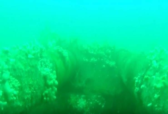 فيديو| العثور على حطام السفينة البريطانية "لا تقهر"!!