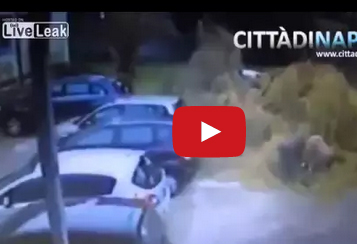 شاهد.. لحظات مرعبة لامرأة سقطت فوقها شجرة