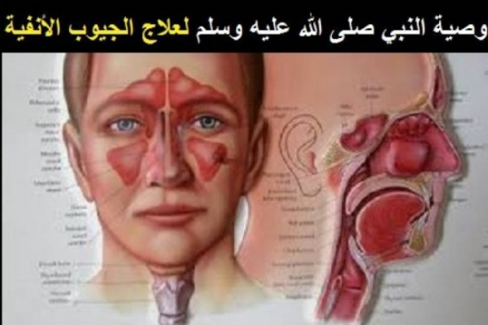 وصية النبي صلى الله عليه وسلم لعلاج الجيوب الأنفية! وصية النبي صلى الله عليه وسلم لعلاج الجيوب الأنفية!