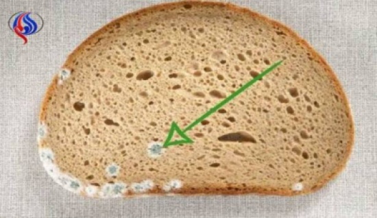 لهذا السبب إحذروا إزالة الأجزاء المتعفنة من الخبز!