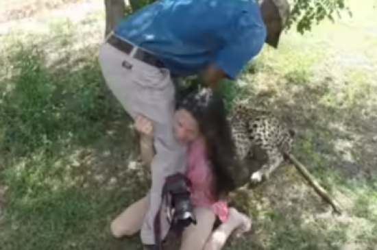 فيديو: فهد يتهجم على فتاة خلال رحلة سفاري