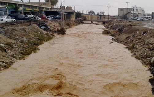 تنمية معان توزع مساعدات عاجلة للأسر المتضررة من السيول تنمية معان توزع مساعدات عاجلة للأسر المتضررة من السيول