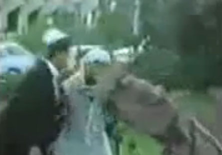 حتى الحيوانات تكره اليهود