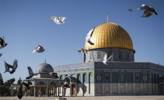 مسؤول أمريكي: لا رجعة عن القرار حول القدس مسؤول أمريكي: لا رجعة عن القرار حول القدس