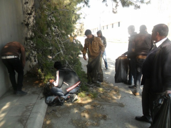 شباب العاصمة ينظمون مبادرة "مدينتي أجمل"