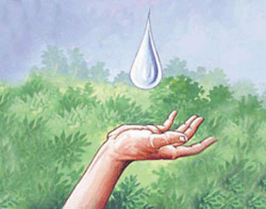 المجلس الأردني للأبنية الخضراء يقدم مقترحات لتوفير استهلاك الطاقة والمياه