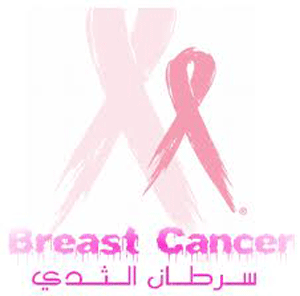 ورشة لتدريب الاعلاميين على مباديء الاتصال والاعلام التنموي في تغطية سرطان الثدي