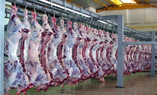 الامانة تعلن دوام وجاهزية المسلخ  في عيد الفطر