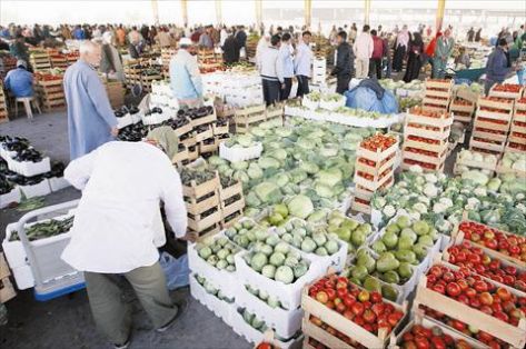 2251 طن خضار وفواكه ترد للسوق المركزي 2251 طن خضار وفواكه ترد للسوق المركزي