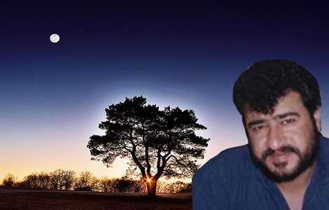 "عنترة الفلسطيني والحمار في ذكرى يوم الأرض " 