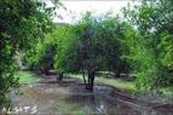 توفر 200 فرصة عمل لفتيات الاغوار الشمالية