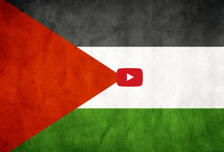 بالفيديو  :  هل تعلم ان فلسطين ؟!!!