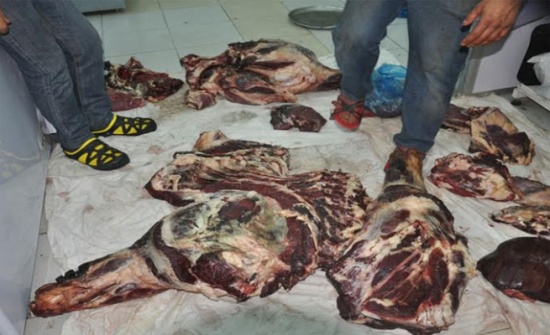 اتلاف لحوم بقرية مصابة بالسل في اربد