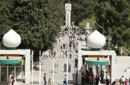 ذبحتونا تطالب "الأردنية" بعدم التعامل بـ "نظرية النعامة"