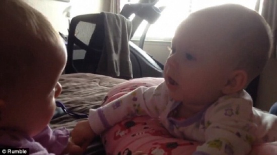 شاهد لحظة التعارف الأولى بين توأم رضيع