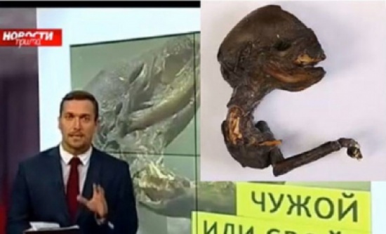 فيديو: سكان بلدة روسية يعثرون على كائن غريب ظهر قرب محطة نووية