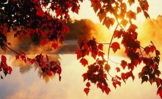 الخميس .. اجواء خريفية معتدلة الحرارة