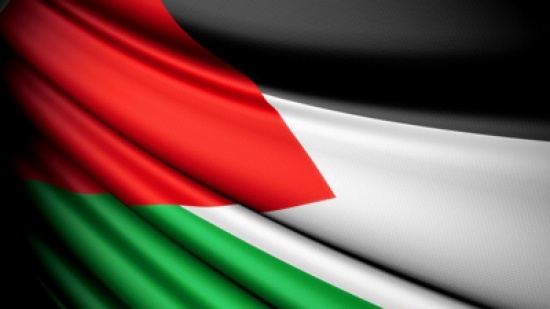 فلسطين تتقدم بطلب انضمام للانتربول