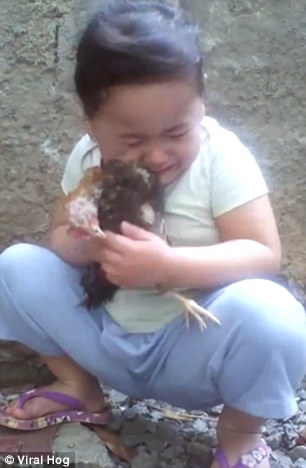 شاهد.. طفلة تبكي بعد قتل قط دجاجتها