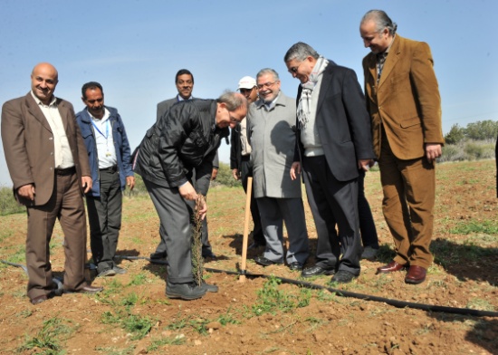 الجامعة الألمانية الأردنية تحتفل بيوم الشجرة