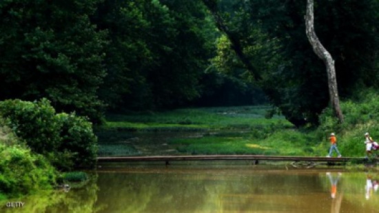 جسر للبيع في ولاية أميركية