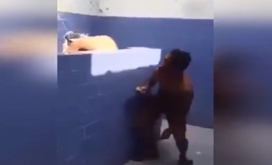 شاب يتسبب في سقوط مروع لصديقه بسبب مقلب (فيديو) شاب يتسبب في سقوط مروع لصديقه بسبب مقلب (فيديو)