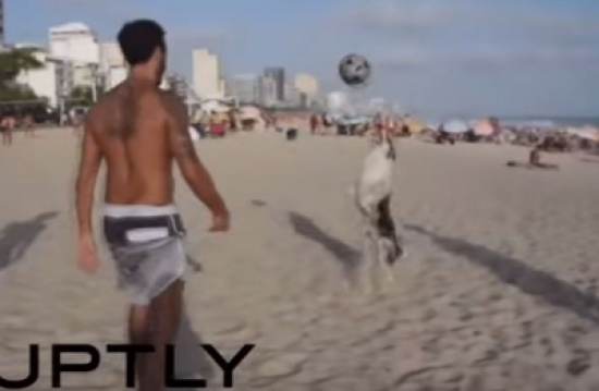 شاهد: كلب لديه مهارة فائقة في لعب الكرة