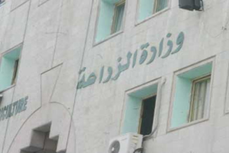 الزراعة تشكل لجنة لدراسة اوضاع سوق الخضار في الطفيلة الزراعة تشكل لجنة لدراسة اوضاع سوق الخضار في الطفيلة
