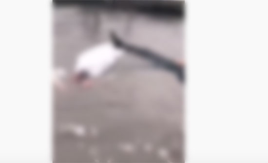 بالفيديو : جثث بالشارع جراء فيضانات وامطار مصر بالفيديو : جثث بالشارع جراء فيضانات وامطار مصر
