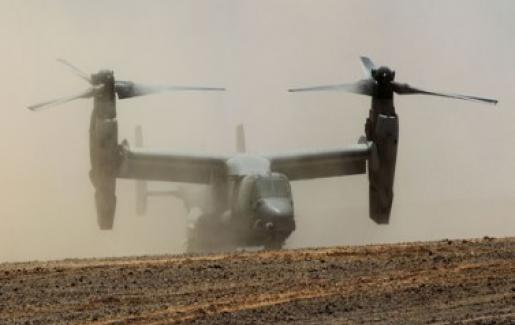 انطلاق "  الاسد المتأهب  " 2016