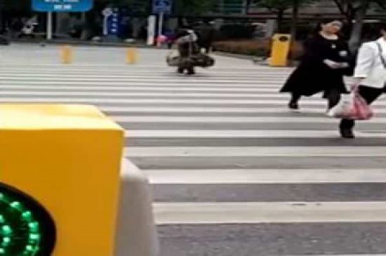 بالفيديو.. تقنية صينية طريفة تمنع عبور الإشارات بالخطأ