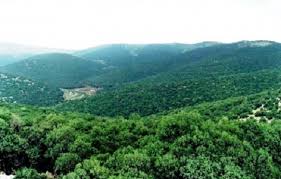 اعداد دراسة للخطط التنفيذية لمشاريع مجلس محافظة عجلون