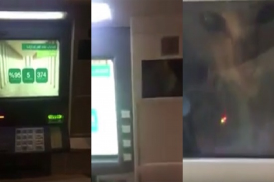 بالفيديو: مشهد غريب لقطة عالقة بقلب صرافة بنك