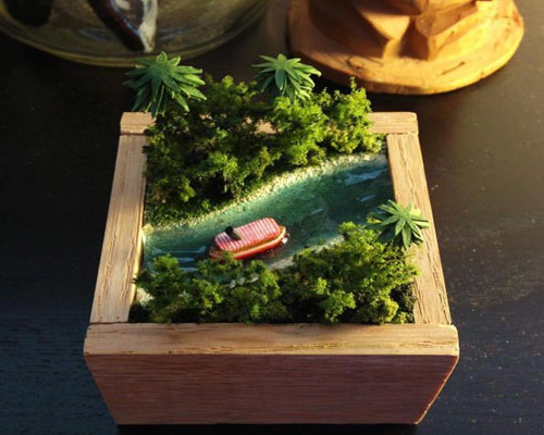 غابة في صندوق صغير ( صور )