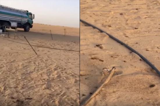 بالفيديو: مشهد إنساني لرجل يسقى ظمأ جربوع كاد يموت عطشًا في الصحراء