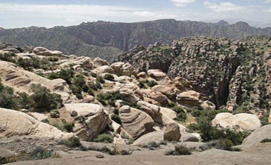 زيادة اعداد زوار محمية ضانا للعام الحالي بنسبة 33 %