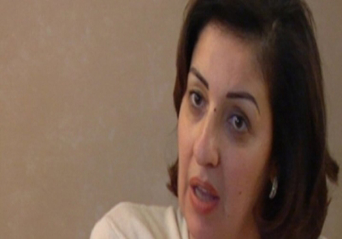 وزيرة التنمية الاجتماعية تلتقي وفدا من منظمة قرى الأطفال الدولية