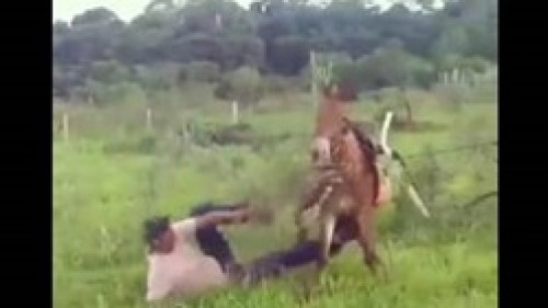 بالفيديو.. حصان ينتقم من رجل أثار غضبه