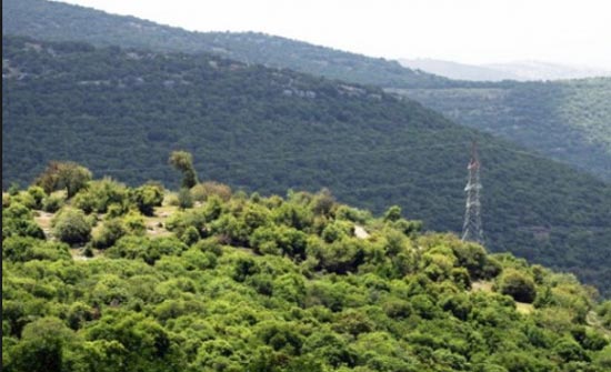 مجلس محافظة عجلون يخصص لمديرية شبابها 850 الف دينار