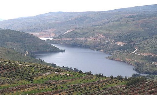 سلطة وادي الاردن تنفي ما يتم تداوله عن فتح بوابات سد الملك طلال سلطة وادي الاردن تنفي ما يتم تداوله عن فتح بوابات سد الملك طلال