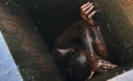 لص يعتقل نفسه بأغبى عملية سرقة لص يعتقل نفسه بأغبى عملية سرقة